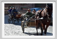 sant_elia184