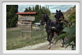 sant_elia017