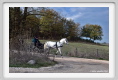 sant_elia037
