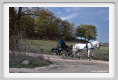 sant_elia040