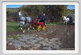 sant_elia051