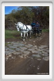sant_elia054