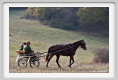 sant_elia067
