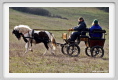 sant_elia074