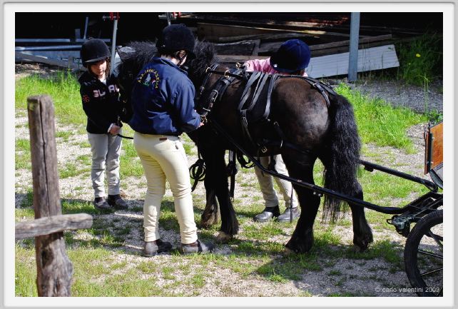 sant_elia700
