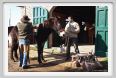santa_barbara004
