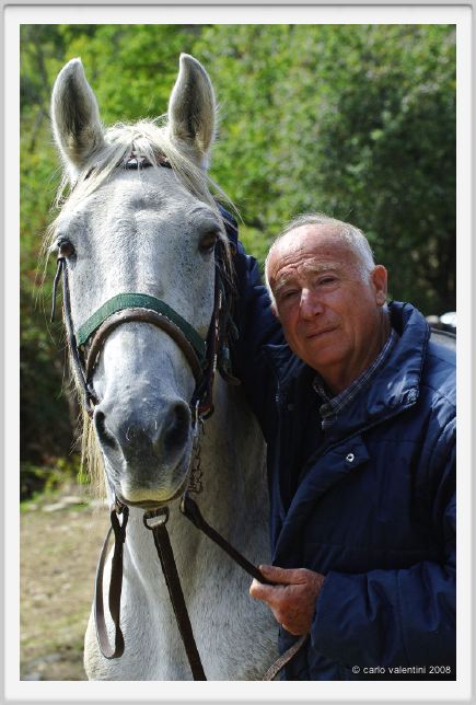 tolfa_cavalieri33