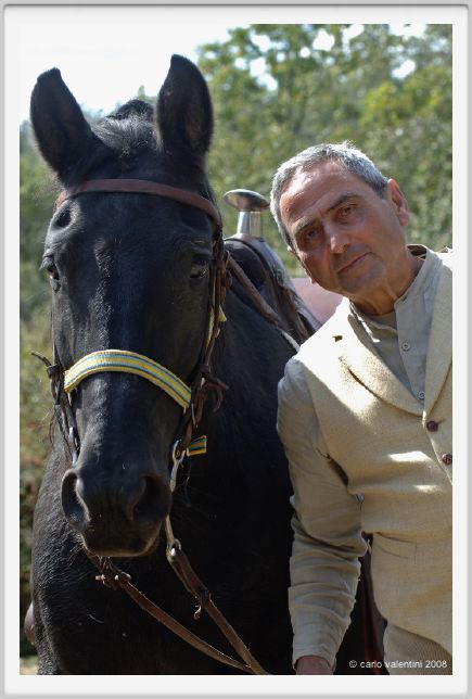 tolfa_cavalieri59