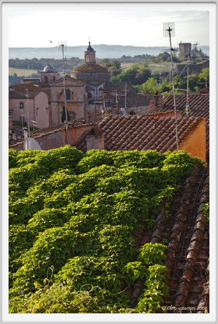 tuscania018