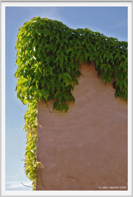 tuscania019