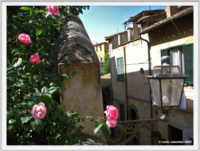 tuscania14