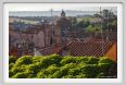 tuscania017