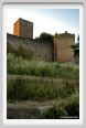 tuscania09