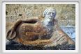 tuscania_san_pietro11