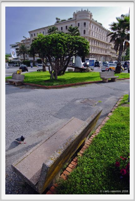 viareggio047