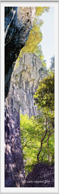 candalla_camaiore054bis