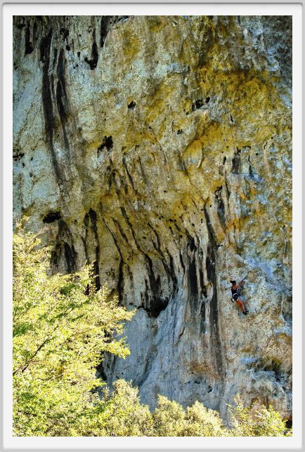 candalla_camaiore025