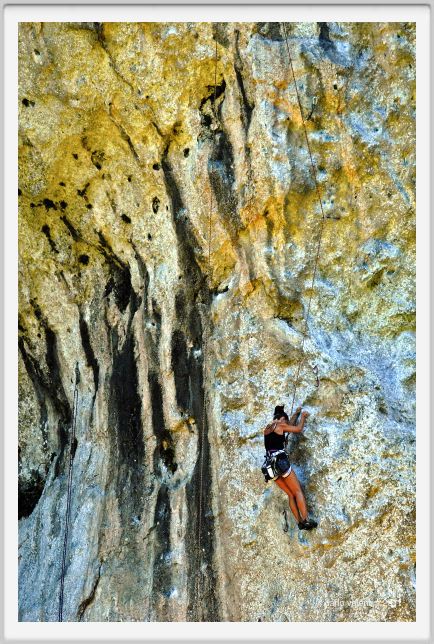 candalla_camaiore026