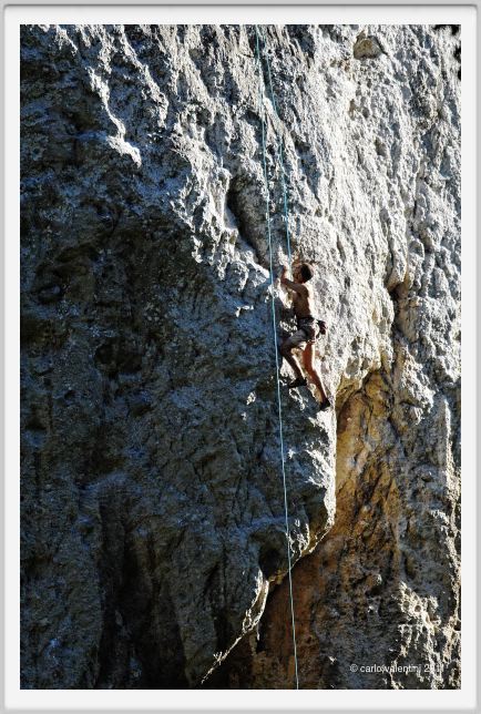 candalla_camaiore029