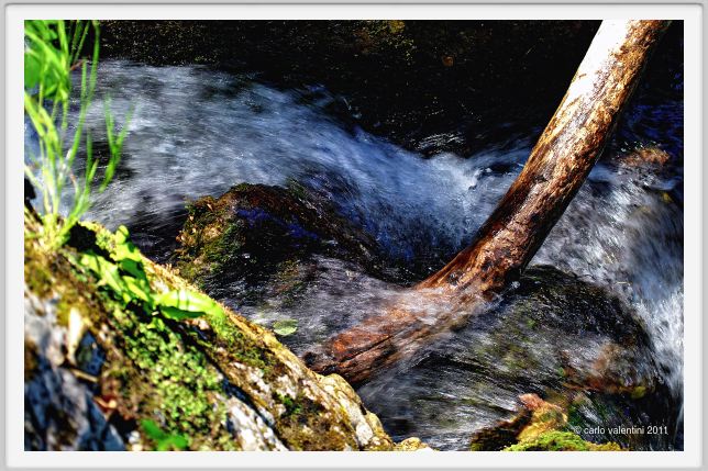 candalla_camaiore057