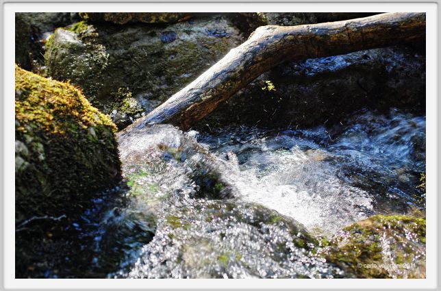 candalla_camaiore058