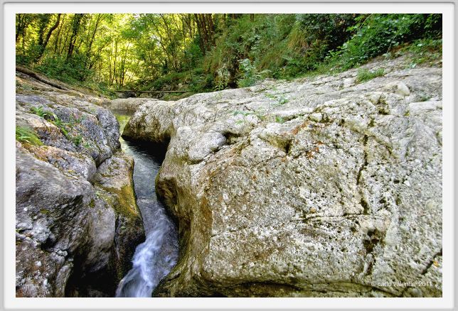 candalla_camaiore065