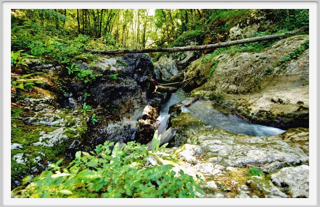 candalla_camaiore067