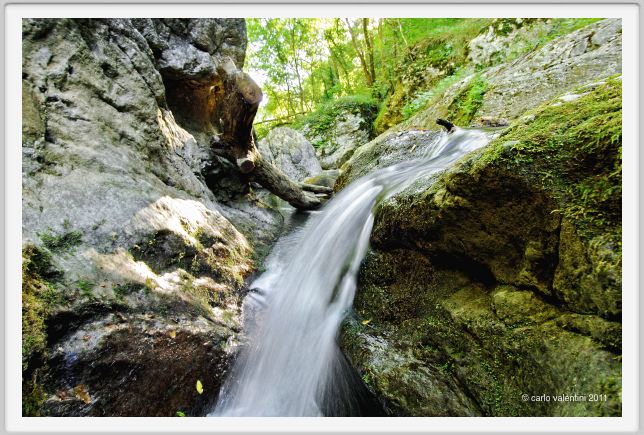 candalla_camaiore071