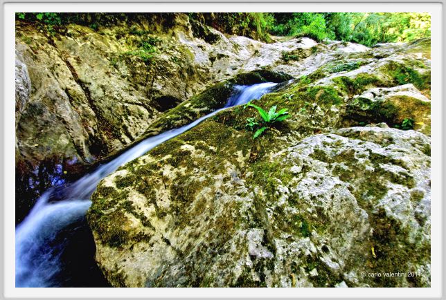 candalla_camaiore074