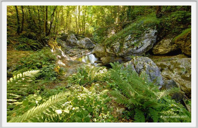 candalla_camaiore077