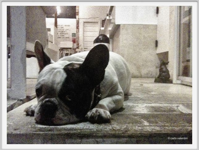 110901_viareggio_biagio