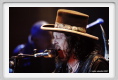 zucchero015