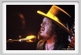 zucchero026