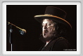 zucchero029