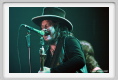 zucchero049