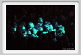 zucchero_concerto01