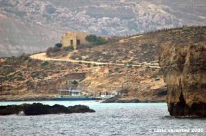comino006