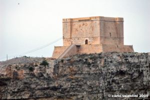 comino007