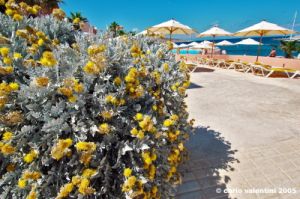 comino_hotel01