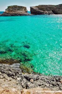 comino_laguna_blu017