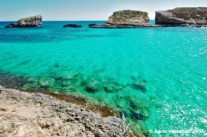 comino_laguna_blu018