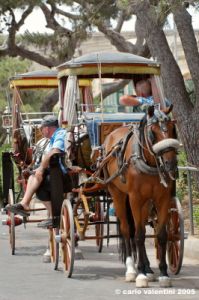 malta_mdina002