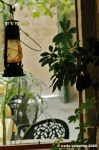 malta_mdina053