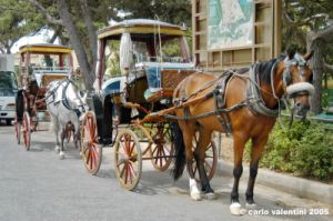 malta_mdina062