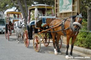 malta_mdina063