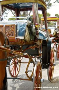 malta_mdina072