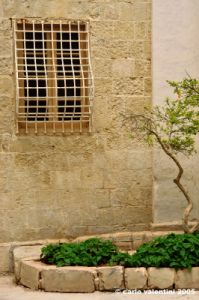 malta_mdina097