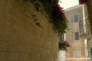 malta_mdina144