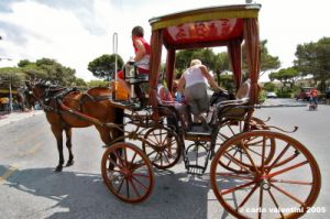 malta_mdina169