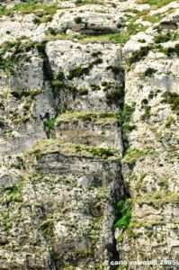 gozo_dwejra_bay008